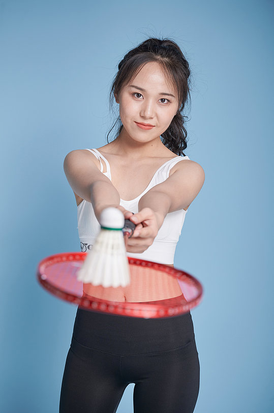 森纳防线组