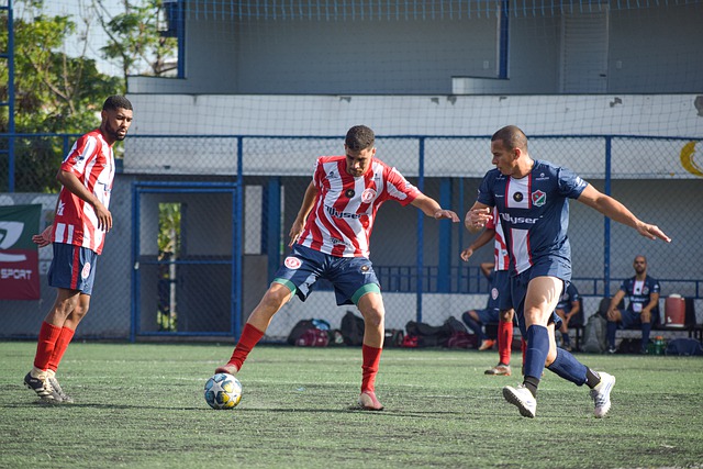 迷通过他们 迷通过他们